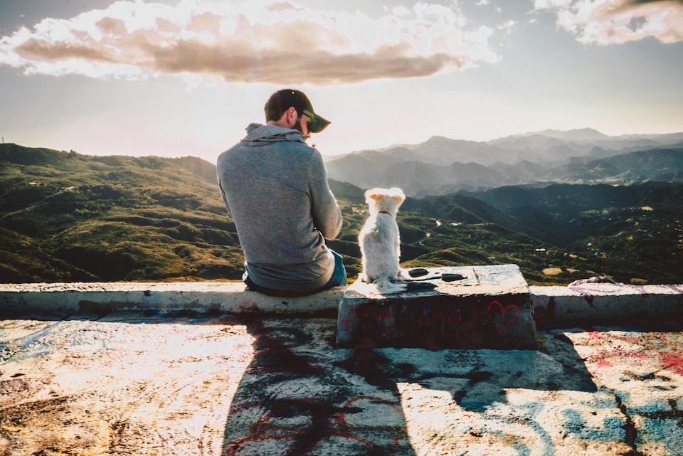 Ein Mann und ein Hund sitzen auf einer Mauer und schauen über ein weites Tal